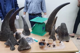 Man imprisoned for trafficking rhino horns