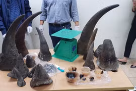 Man imprisoned for trafficking rhino horns