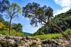 Vu Quang National Park receives ASEAN Heritage Park certificate