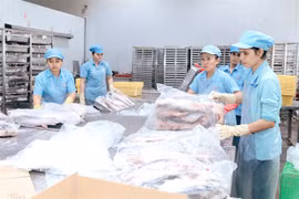 Cold storage demand surges during COVID-19