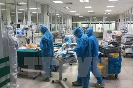 Vietnam ranks second for COVID-19 response in global survey