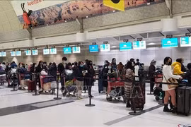 Flight brings home nearly 350 Vietnamese citizens from Canada