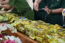 More suspects arrested in cross-border drug trafficking ring 
