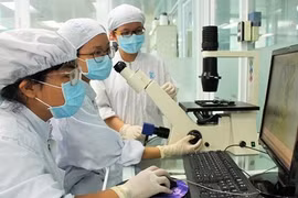 Education draws foreign investment