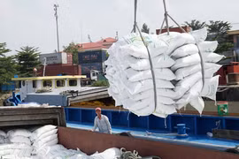 Vietnam seeks to bolster rice exports to Africa