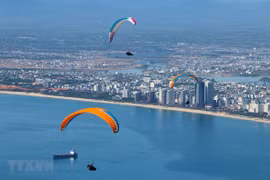 Da Nang to host ASEAN environmental meetings