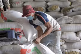 Cambodia exports 7 million tonnes of farm produce in 2019