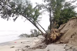 Underwater dyke set to save Cua Dai beach from erosion