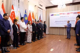 Vietnam presents medical supplies to eight countries