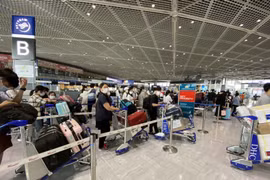 More Vietnamese repatriated from Japan