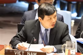 Vietnam chairs meeting of UNSC’s Informal Working Group on International Tribunals