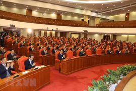 More reports scrutinised at closing session of Party Central Committee’s 14th plenum