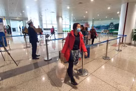 Foreign ministry advises Vietnamese against travelling to nCoV-affected areas