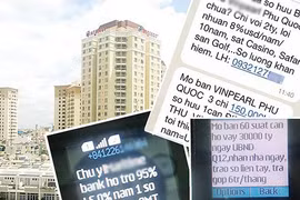 Real estate sellers to push social media and e-commerce marketing amid crackdown on spam