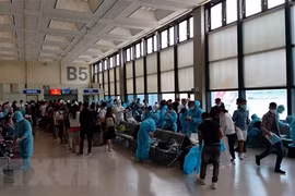Over 360 Vietnamese citizens flown home from Singapore
