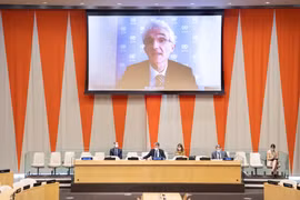 UN Security Council concerned about ceasefire violations in Yemen