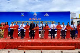An Giang-based firm exports tra fish products made under high-tech process