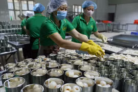 Agricultural businesses trained on EVFTA