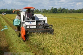 Kien Giang: Nine-month export earnings up over 14 percent year on year