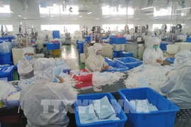 Tien Giang attractive to both domestic and foreign investors 