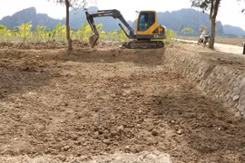 Hai Phong fills excavation holes to preserve ancient stakes