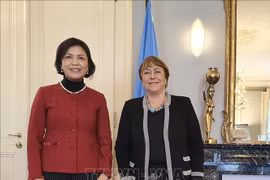 UN High Commissioner lauds Vietnam’s human rights achievements 