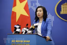 Vietnam welcomes countries’ standpoints on East Sea issue: Spokesperson