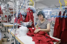 Foreign Ministry: Vietnam recovers economy during, after COVID-19