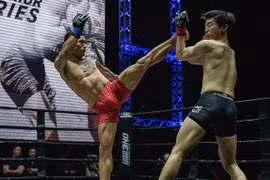 Mixed martial arts has a bright future in Vietnam