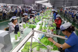 EVFTA opens up new era in EU-Vietnam trade ties: Italian experts 