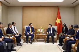 Deputy PM hosts investors interested in LNG power development in Vietnam 