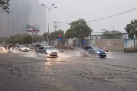  HCM City makes plans to adapt to climate change