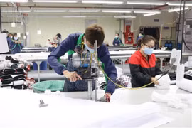 Vietnam looks to use EVFTA to boost exports to Netherlands