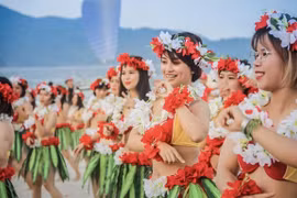 Da Nang plans to open Fantastic Festival 2020 in June