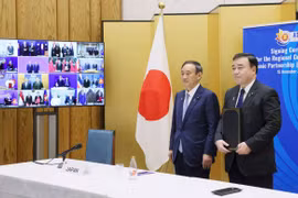 RCEP to create opportunities for Japanese manufacturers, farmers: minister