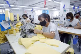 Women-led enterprises make great contributions to economic recovery: expert