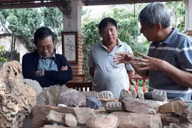 Palaeontology museum unearths Central Highlands history