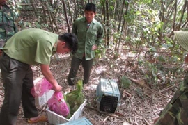25 wild animals released into Bu Gia Map National Park