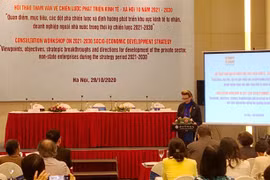 Private sector, non-State enterprises to be at heart of 10-year development strategy