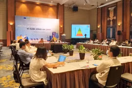 Vietnam Renewable Energy Week 2020 underway