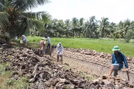 Ben Tre should prepare to cope with saline intrusion: NA official