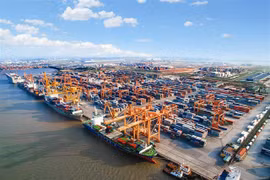 Cutting costs crucial to survival of maritime transport 