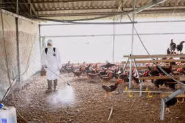 Minister urges early detection of avian influenza outbreaks 