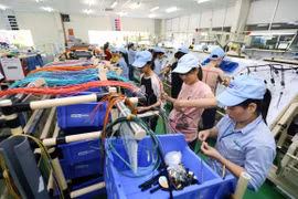 Private economic sector – important driver of economy