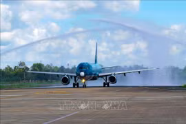 Vietnam Airlines launches three more domestic air routes 