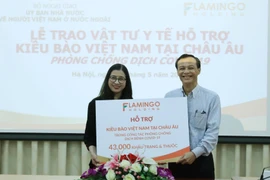Medical supplies for Vietnamese in Europe to cope with COVID-19