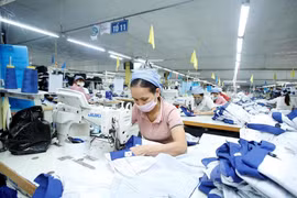HCM City’s 2020 economic growth at 1.39 percent