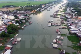 Mekong Delta leads in provincial competitive index 