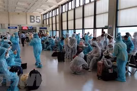 Over 240 Vietnamese citizens brought home from Singapore