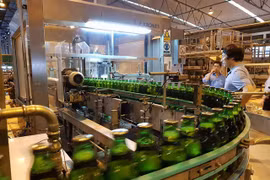 Vietnam looks to attract foreign investment in equitisation of SOEs